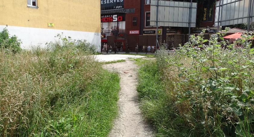 O teren prywatny też trzeba dbać