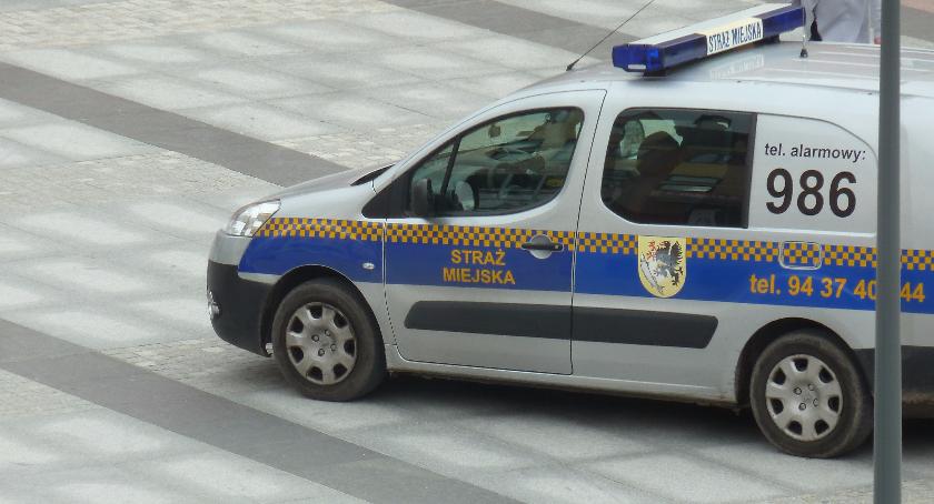 Pies pogryzł rowerzystę, ciężarówka zniszczyła latarnię
