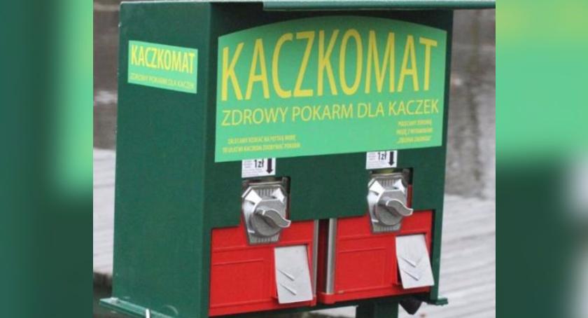 Czy w Szczecinku pojawi się 