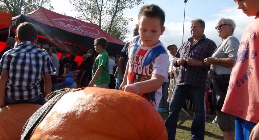 Jej Wysokość Dynia znów zawładnie Radaczem