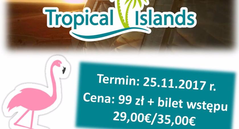 Wycieczka na Tropikalną Wyspę pod Berlinem. Zaprasza Miejska Biblioteka Publiczna w Bornem