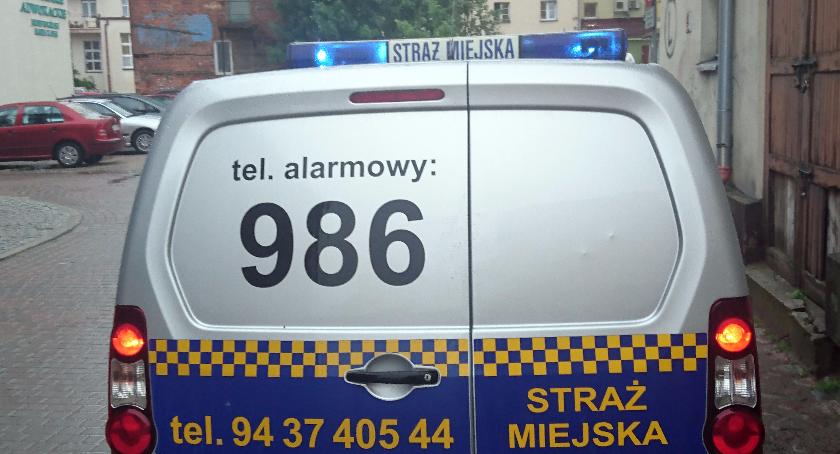Drwal, ochroniarz, traktorzysta, strażnik miejski