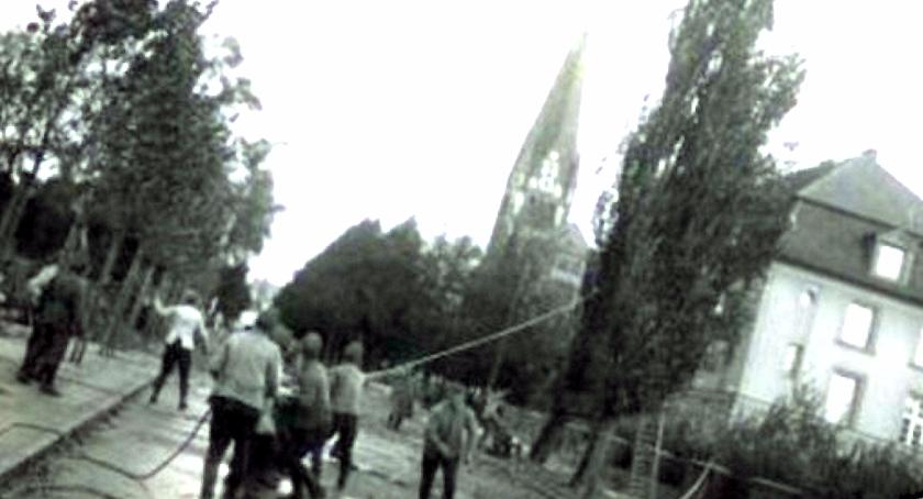 Topole na Mickiewicza były już wycinane dwa razy
