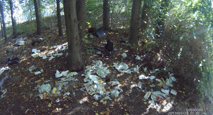 Strażnicy na tropie śmieciarza, kocięta na śmietniku oraz 55 innych interwencji