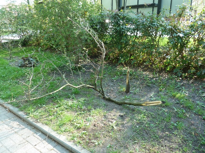 Wandale odwiedzili park. Po raz kolejny