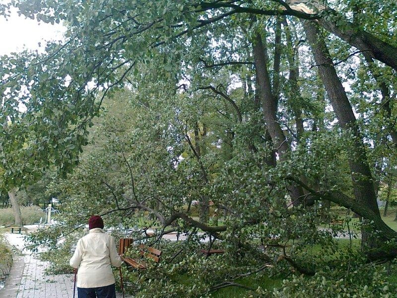 Wietrzna noc - strażacy w akcji
