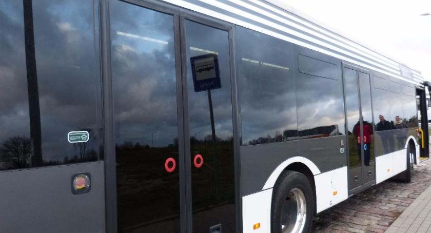 Autobusy elektryczne mają luźny związek z ekonomią