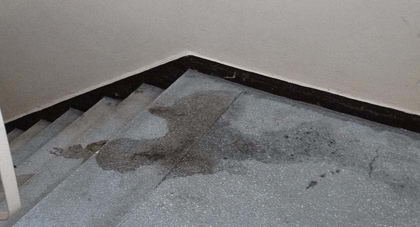 Przychodzi, krzyczy, niszczy, wychodzi. Potem przesiaduje i sika na klatce schodowej
