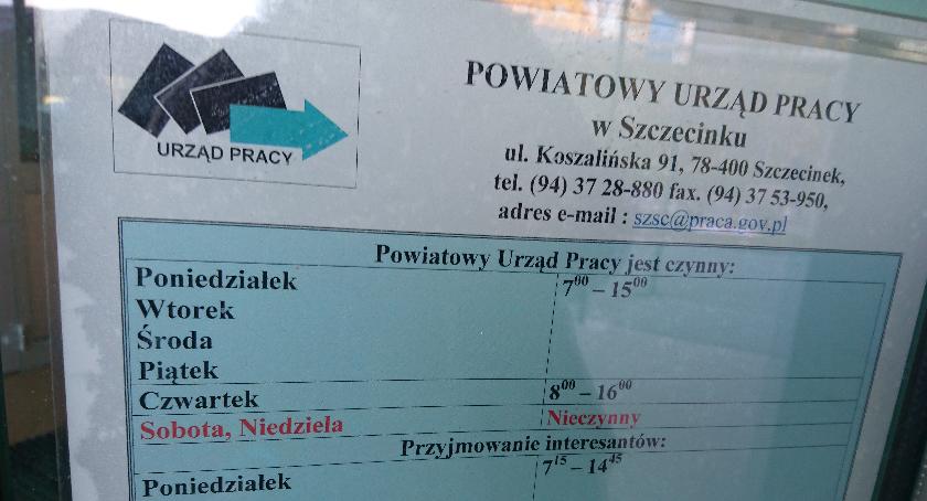 Strażnik miejski, brygadzista ekipy doczyszczającej