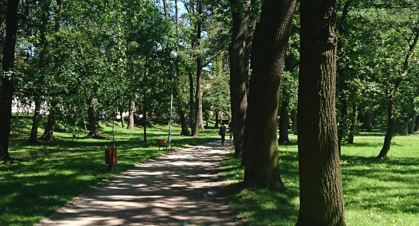 17,6 miliona na zieleń. Tyle dostaną samorządy 