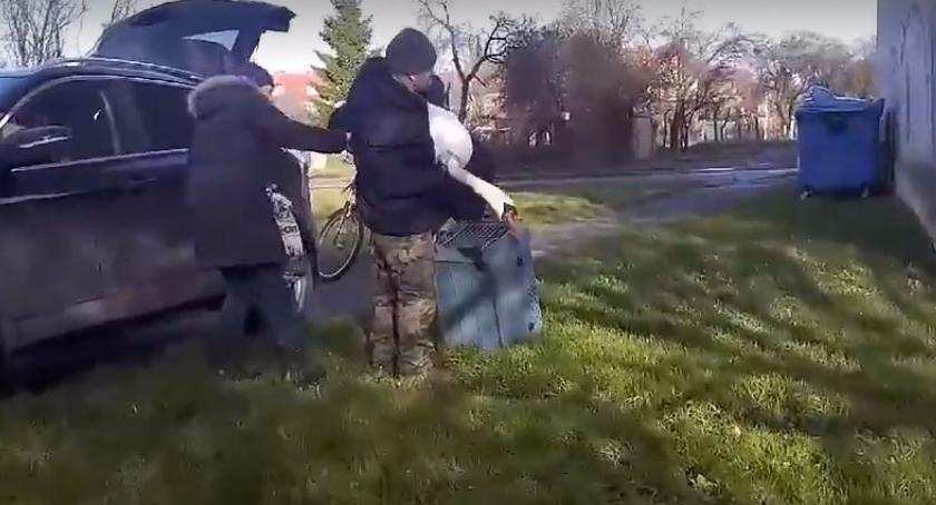 Łabędź siedział sobie na rondzie. Podwieźli go miejscy strażnicy