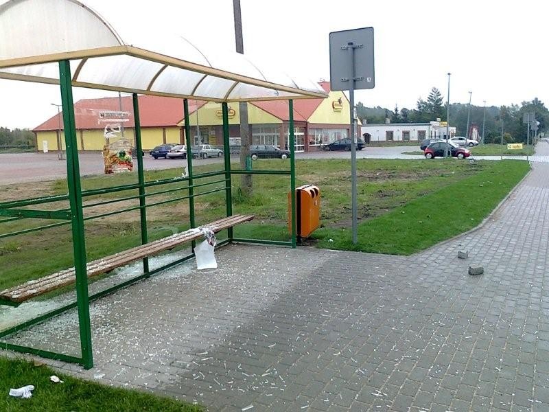 Wandale nie spali – rozbili przystanek autobusowy