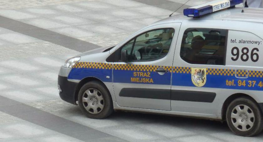 Raport Straży Miejskiej: pomoc bezdomnym i upojonym alkoholem