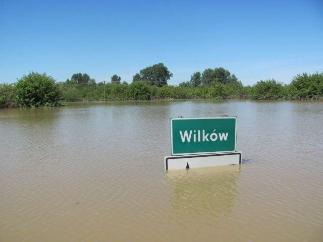 Strażacy znów pomagali powodzianom