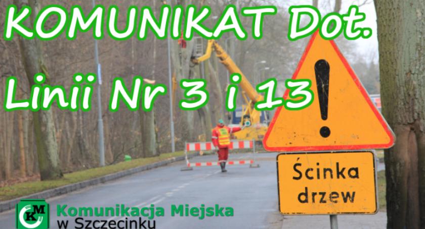 Wycinka drzew w sobotę. Zamknięty odcinek drogi wojewódzkiej i brak kursów autobusów
