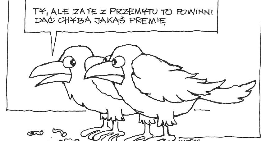 Kra kra kra
