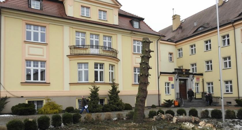 Koło starostwa powiatowego już nie ma świerku