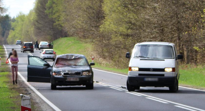 Jedna sarna uszkodziła trzy samochody na DK11 [Wrzuć Temat]