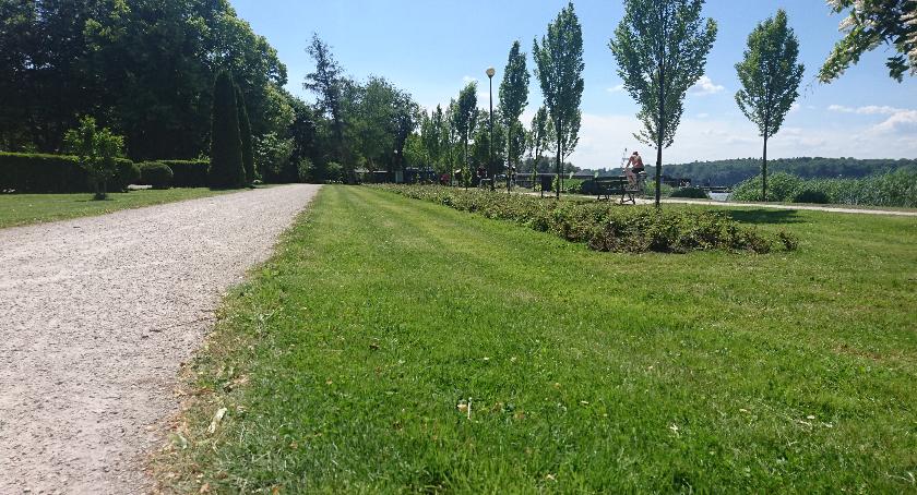 Zieleń wymyka się PGK spod kontroli? Wystarczy o tym wspomnieć na sesji Rady Miasta i...