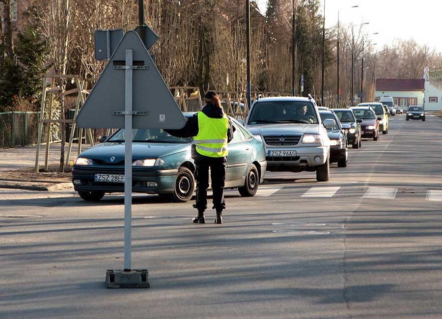 Druga tura nasadzeń przy ul. Mickiewicza