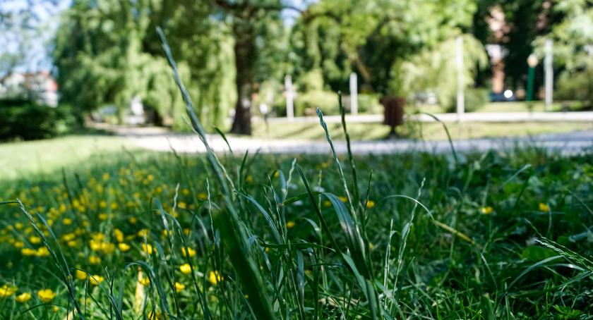 Zabytkowy park, czy niekoszona łąka? List Czytelnika