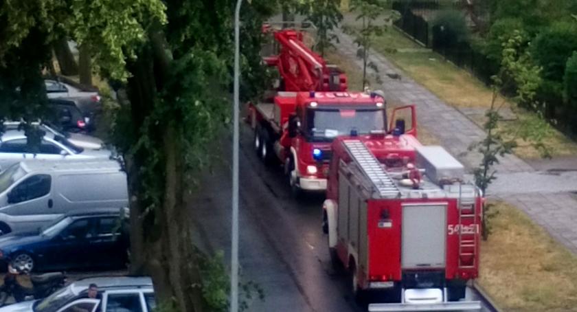 Zagrzmiało i powiało. Strażacy mieli pełne ręce pracy