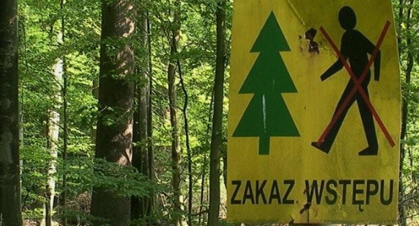 Zakaz wstępu do lasu - niewykluczony