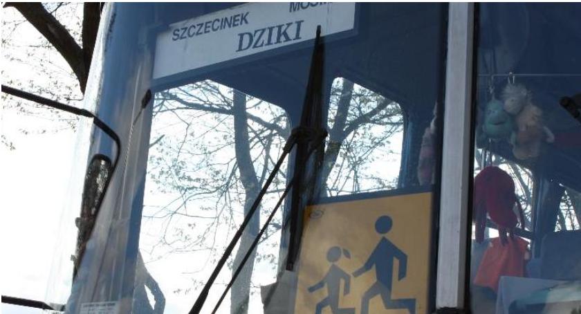 PKS będzie woził dzieci do szkoły