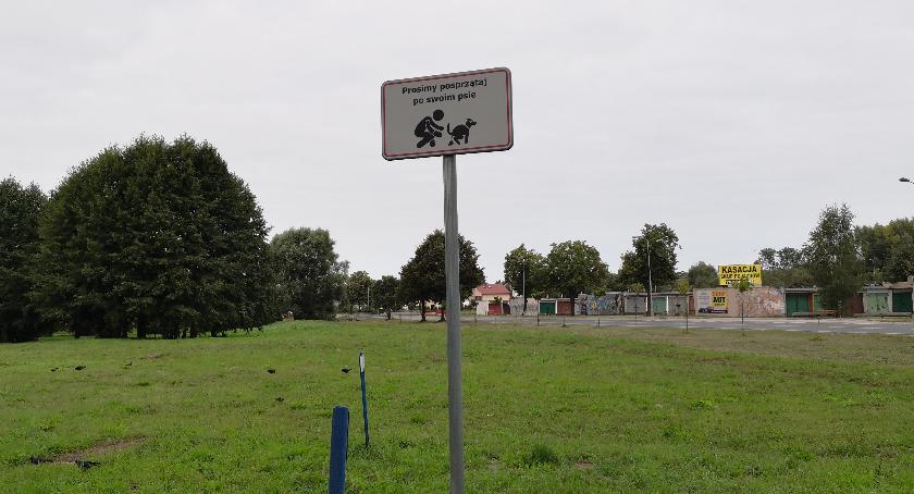 Wybieg dla psów jeszcze przed wyborami. Cena: 100 tys. zł