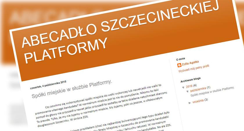 Blogerka: Czy powinno się wykorzystywać spółki miejskie do promowania kandydata?