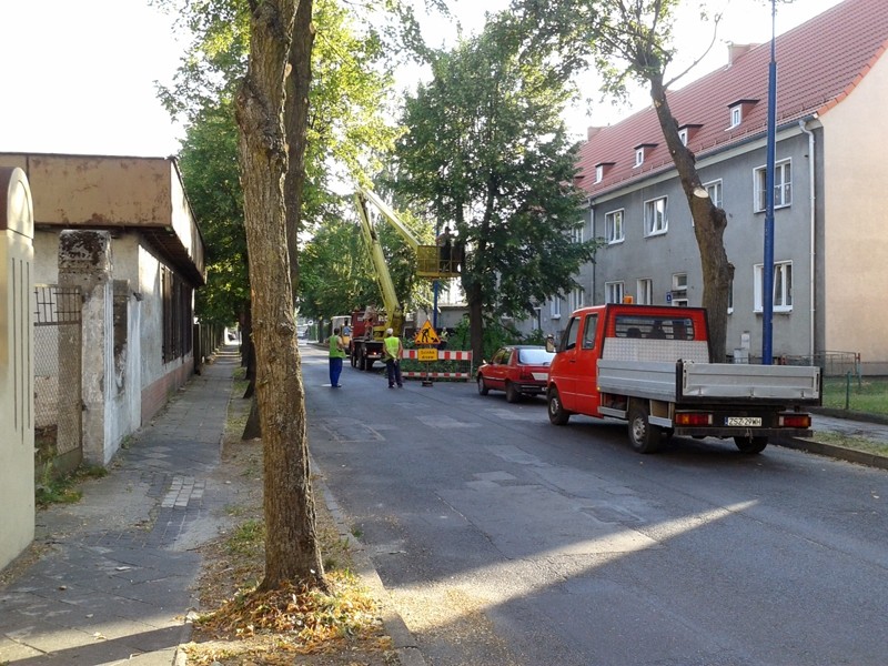 Utrudnienia na ul. Myśliwskiej. Przycinają drzewa