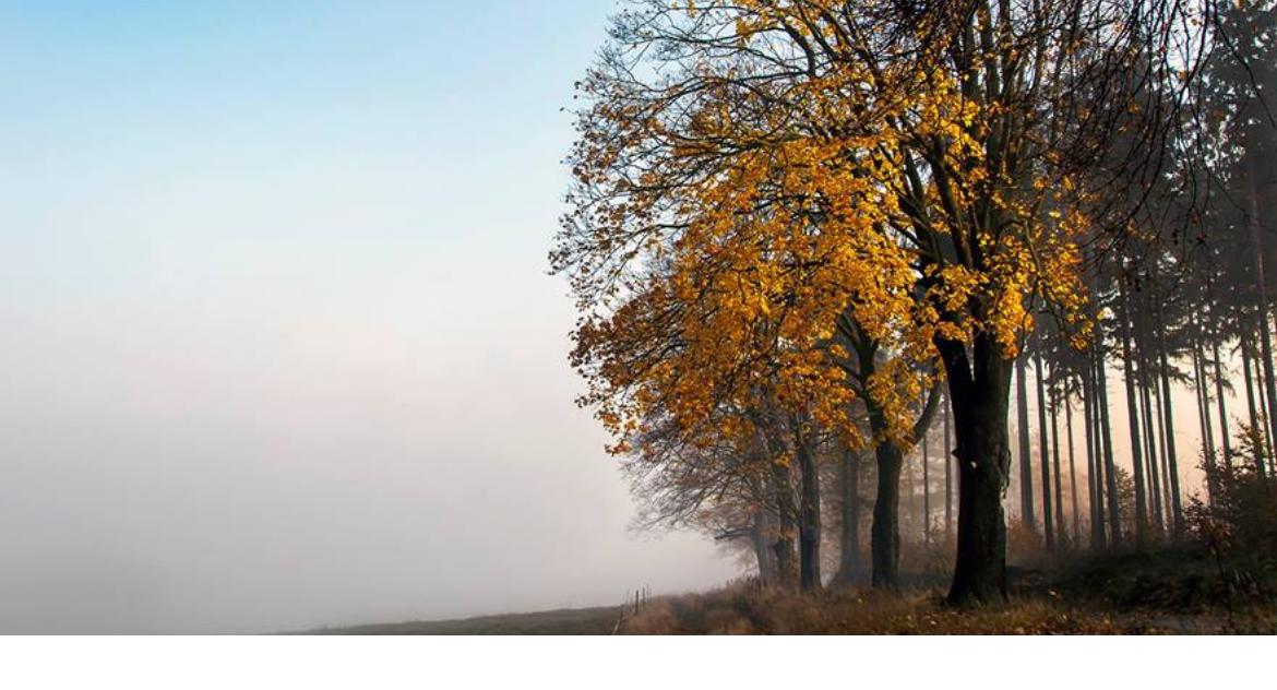Szczecinek w obiektywach naszych Czytelników - cz. 3