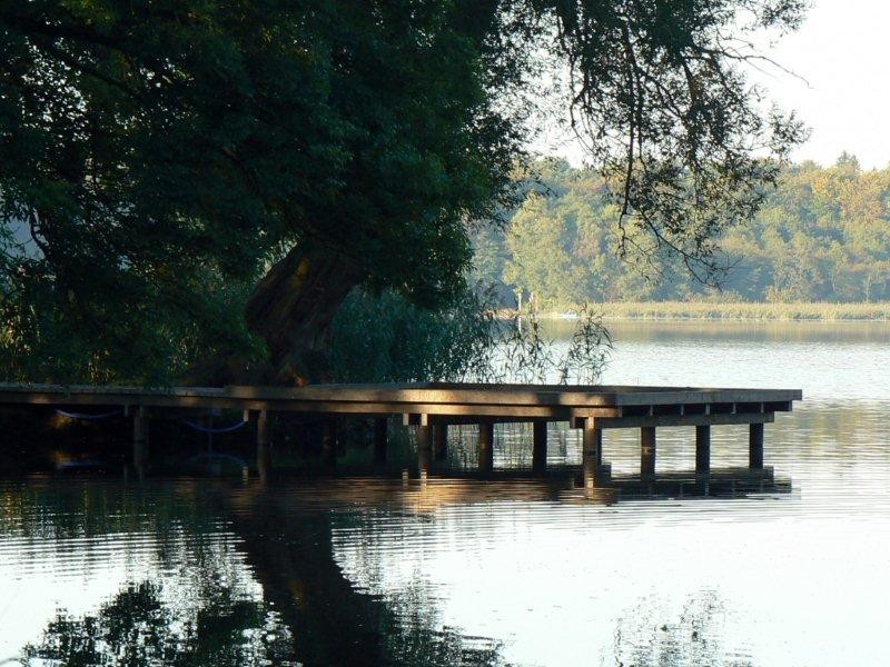 Park w liftingu. Promenada, pomost i oczko wodne