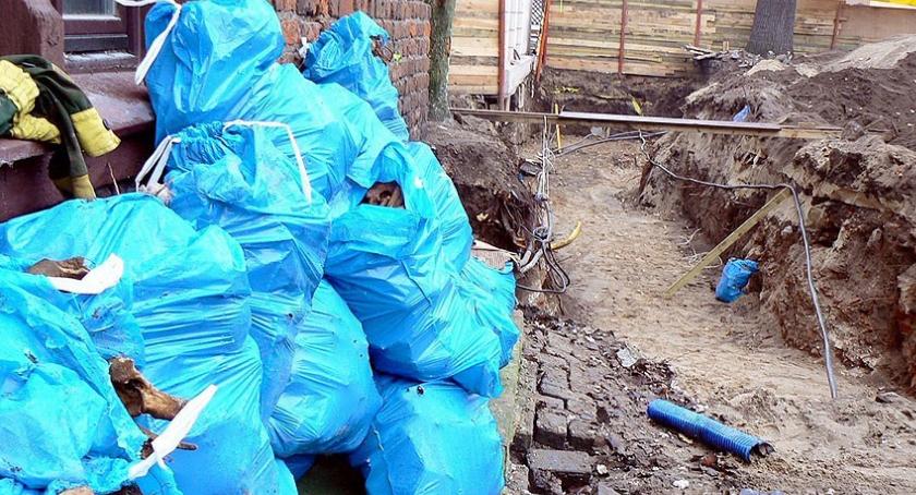 Kości pod ziemią jest jeszcze wiele. Szczecineckie nekropolie