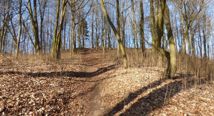 Wzgórze Marientron. Szczecinek był miejscem pielgrzymek