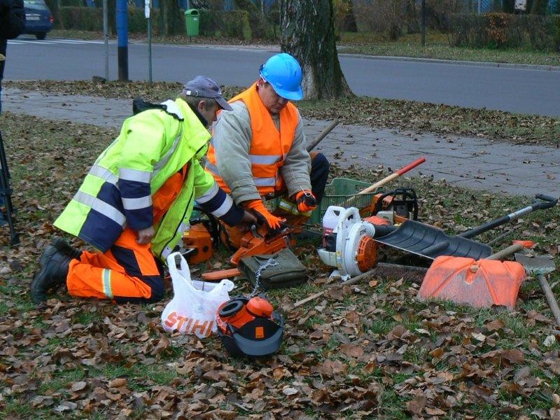 Padły pierwsze drzewa. Pożegnanie z aleją topolową