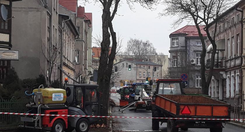 W Szczecinku stuletnie drzewa znikają z ul. Pileckiego. Trwa wycinka