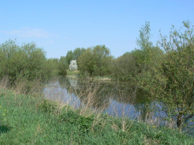 Drwal pilnie poszukiwany. Wędkarze proszą o wsparcie