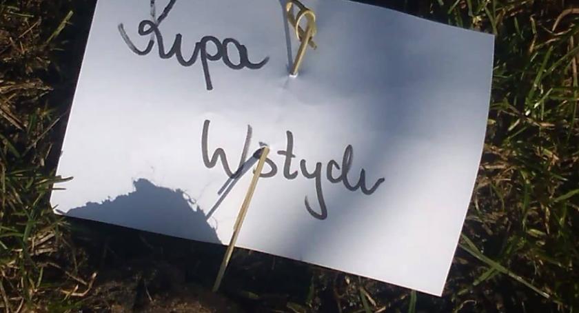 Kupa wstydu, czyli psie odchody z karteczkami