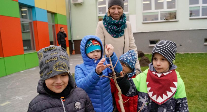 Kronodrzewko w Przedszkolu Miś. Dzieci posadziły klony i irysy