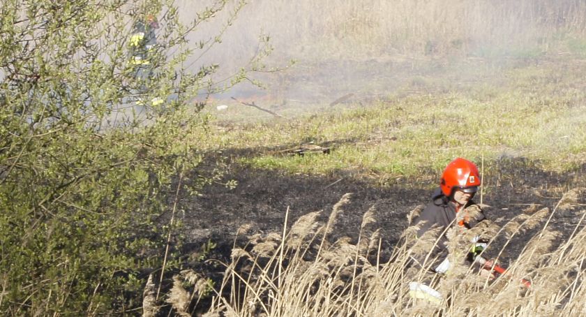 Płoną trawy i lasy. Strażacy wyjeżdżali prawie 40 razy