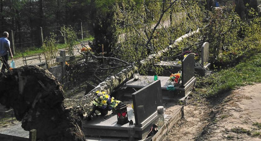 To cud, że ocalały. Olbrzymie drzewo runęło na groby. Poszukiwani świadkowie!