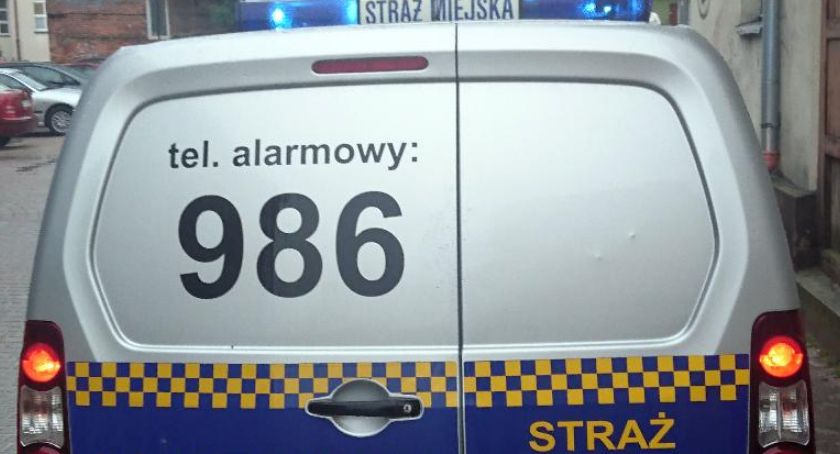 Co robiła szczecinecka Straż Miejska w roku 2018? 