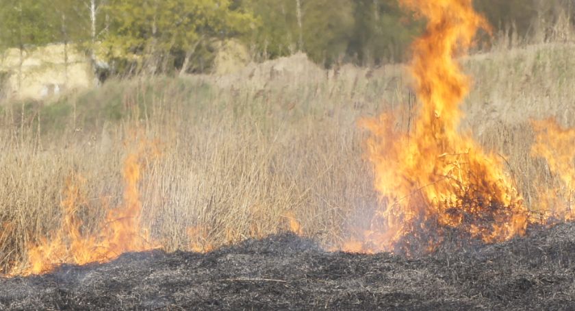 Palili siano i plastikowe kubły na śmieci