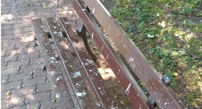 Czytelnik: Kto chce usiąść na takich ławkach?