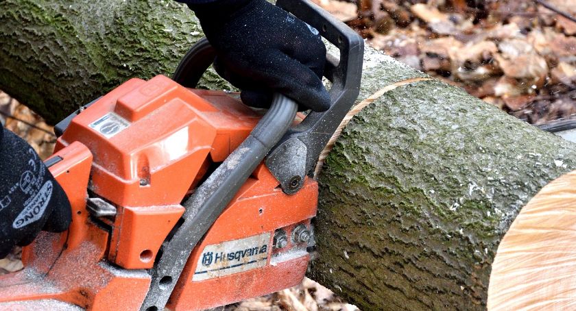 Energetyk, mechanik, diagnosta, monter, pilarz, wychowawca, tynkarz. Praca w Szczecinku, oferty
