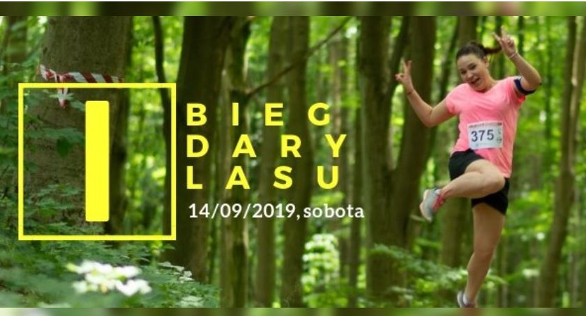 Pierwszy w historii „Bieg Dary Lasu”. Trwają zapisy
