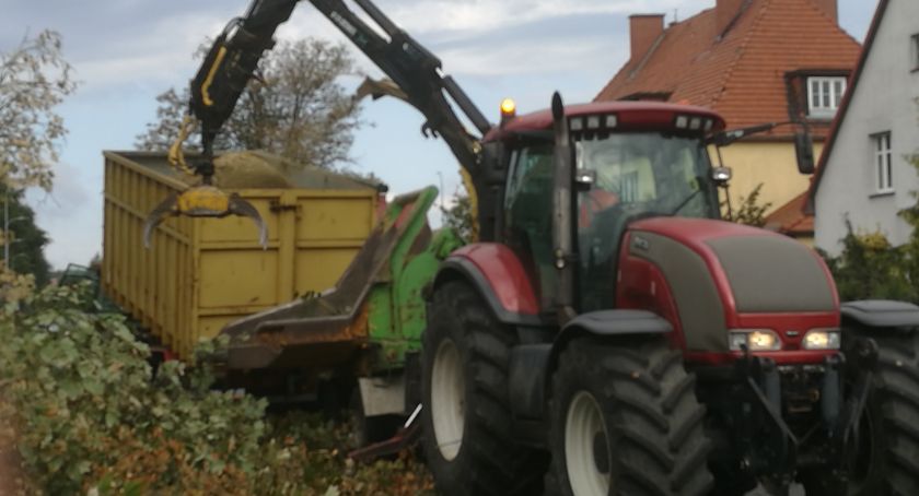 Wielka wycinka na ul. Kościuszki. 38 chorych drzew trafiło pod topór