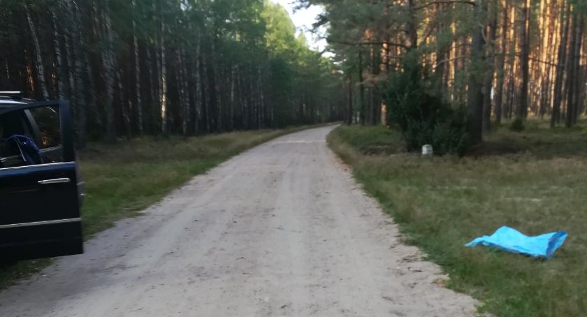 Porzucony pies nadal błąka się po lesie. Czytelniczka: Bardzo się boi, nie daje się złapać