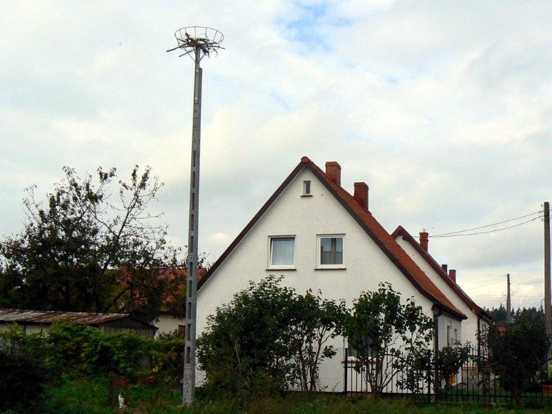 Gniazdo dla bocianów – nie zdążyliśmy, musimy poczekać do wiosny